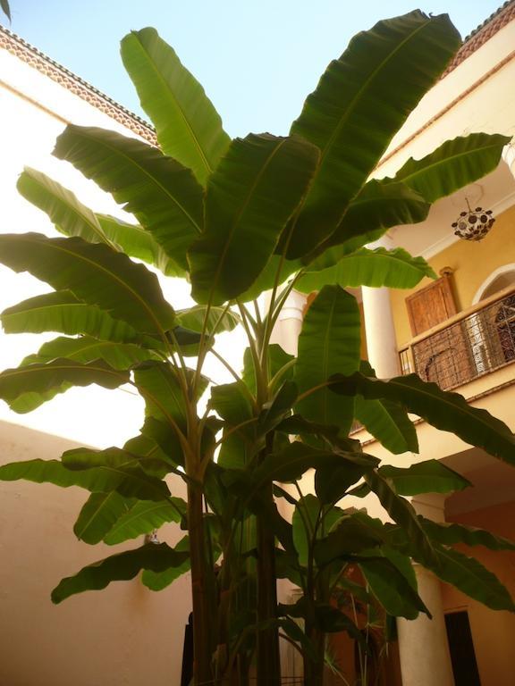 Riad Ker Saada Marakéš Exteriér fotografie